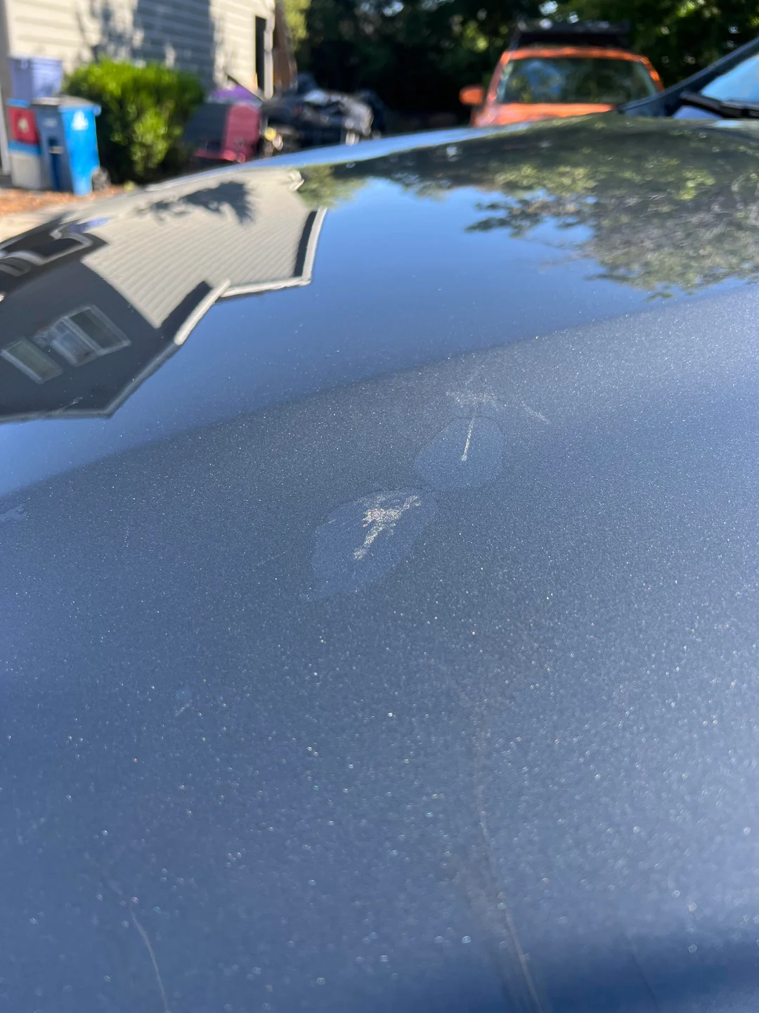 Bird Dropping Damage: Clean Paint Before Etching Occurs